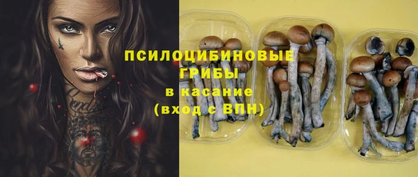 индика Богородск