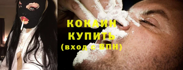 трава Бородино