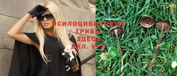 индика Богородск