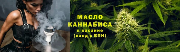индика Богородск