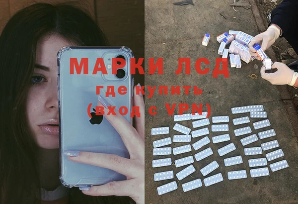 индика Богородск