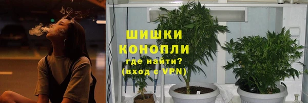 индика Богородск