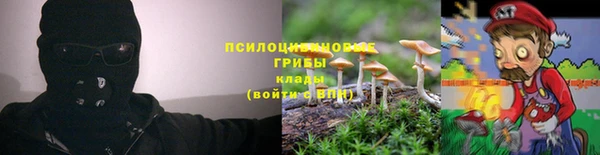 МДПВ Бронницы