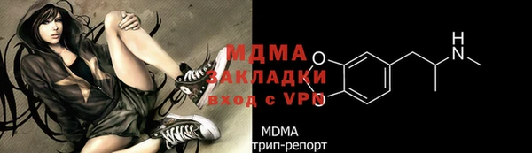 индика Богородск