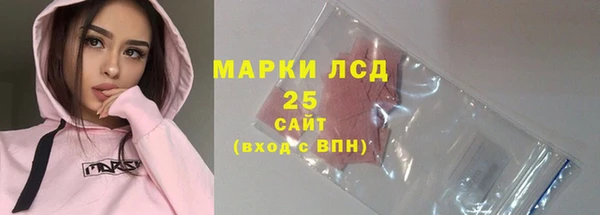 индика Богородск