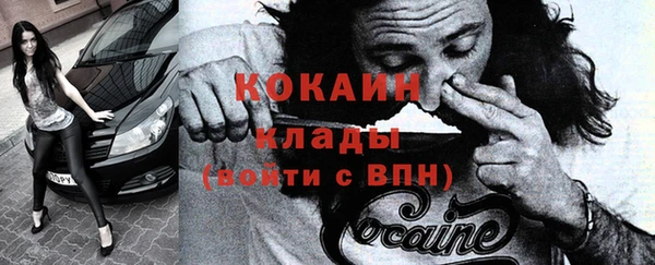 spice Богданович