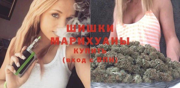 spice Богданович