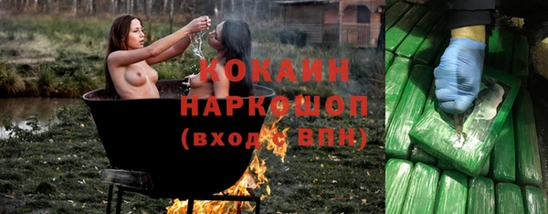 spice Богданович