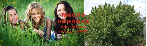 spice Богданович