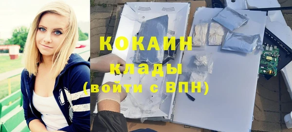 трава Бородино