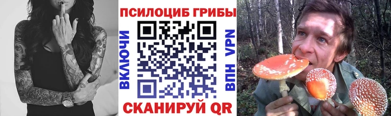 это какой сайт  Северо-Курильск  Галлюциногенные грибы Magic Shrooms  блэк спрут зеркало 